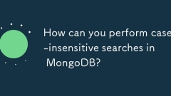 您如何在MongoDB中进行案例不敏感的搜索?