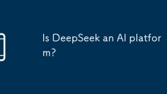 Is DeepSeek an AI platform?