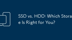 SSD vs. HDD : ?? ????? ???? ??????
