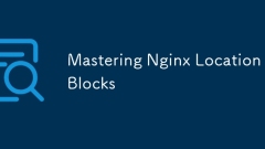 Menguasai Blok Lokasi Nginx