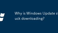Pourquoi Windows Update est-il bloqué le téléchargement?