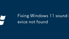 Fixation du dispositif sonore de Windows 11 introuvable