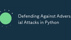 Défendre contre les attaques contradictoires à Python