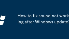 Bagaimana untuk memperbaiki bunyi yang tidak berfungsi selepas kemas kini Windows?