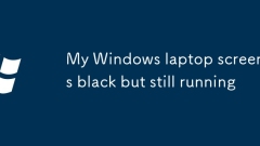 My Windows laptop screen is black but still running