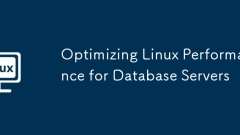 Optimisation des performances Linux pour les serveurs de base de données