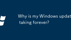 Pourquoi ma mise à jour Windows prend-elle une éternité?