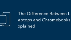 The Difference Between Laptops and Chromebooks Explained