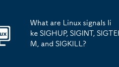 What are Linux signals like SIGHUP, SIGINT, SIGTERM, and SIGKILL?