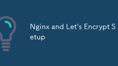 nginxおよびLet's Encypt Setup