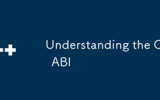 Understanding the C ABI
