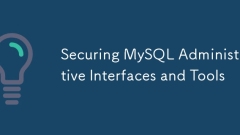 MySQL 관리 인터페이스 및 도구 확보