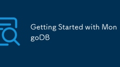 开始使用MongoDB