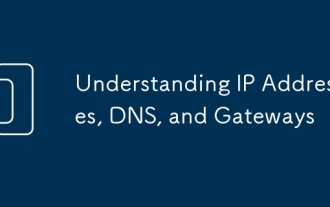 Understanding IP Addresses, DNS, and Gateways