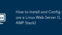 How to Install and Configure a Linux Web Server (LAMP Stack)