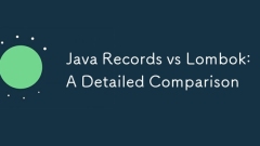 Java Records vs Lombok:詳細な比較
