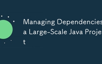Managing Dependencies in a Large-Scale Java Project