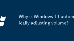 Pourquoi Windows 11 a-t-il automatiquement réglé le volume?