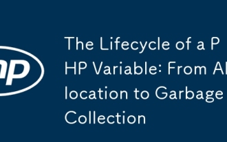 The Lifecycle of a PHP Variable: From Allocation to Garbage Collection