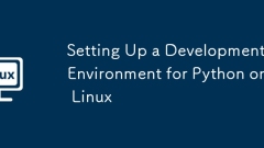 Setting Up a Development Environment for Python on Linux
