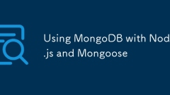 将mongoDB与node.js和mongoose一起使用