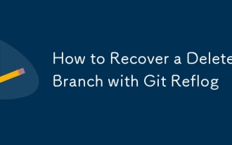 How to Recover a Deleted Branch with Git Reflog