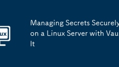 Managing Secrets Securely on a Linux Server with Vault