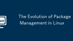 The Evolution of Package Management in Linux