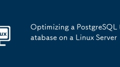 Optimizing a PostgreSQL Database on a Linux Server