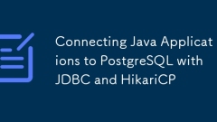 Verbinden Sie Java -Anwendungen an PostgreSQL mit JDBC und Hikaricp