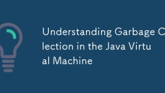 Müllsammlung in der virtuellen Java -Maschine verstehen