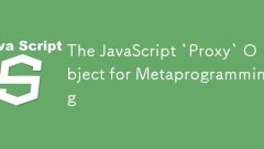 用於元編程的JavaScript'代理”對象