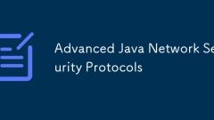 Erweiterte Java -Netzwerksicherheitsprotokolle