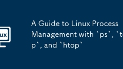 A Guide to Linux Process Management with `ps`, `top`, and `htop`