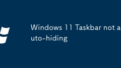 Windows 11 Taskbar tidak menyembunyikan automatik