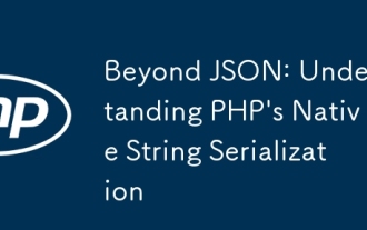 超越JSON:了解PHP的本地字符串序列化