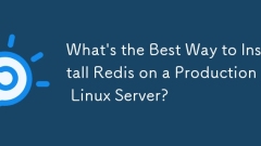 Was ist der beste Weg, um Redis auf einem Produktions -Linux -Server zu installieren?