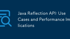 Java Reflection API: Anwendungsfälle und Leistungsauswirkungen