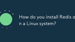 Wie installieren Sie Redis auf einem Linux -System?