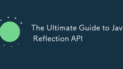 Der ultimative Leitfaden zur Java Reflection API