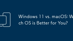 Windows 11 vs MacOS: OS mana yang lebih baik untuk anda?