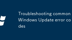 Penyelesaian Masalah Kod Ralat Kemas Kini Windows Biasa