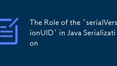 Die Rolle der 'Serialversionuid' bei der Java -Serialisierung