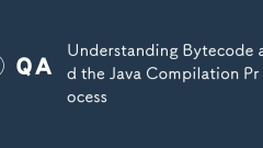 Bytecode und den Java -Kompilierungsprozess verstehen