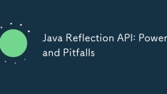 Java Reflection API: Kraft und Fallstricke