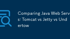 Vergleich von Java -Webservern: Tomcat gegen Jetty vs Totow