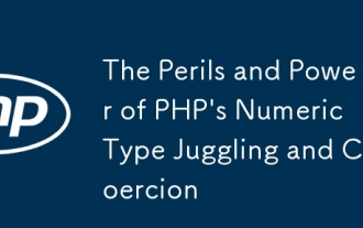 PHP的數字類型雜耍和脅迫的危險和力量