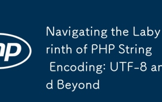 導航PHP字符串編碼的迷宮:UTF-8及以後