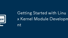 Erste Schritte mit der Entwicklung von Linux -Kernel -Modulmodul