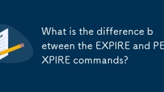 What is the difference between the EXPIRE and PEXPIRE commands?